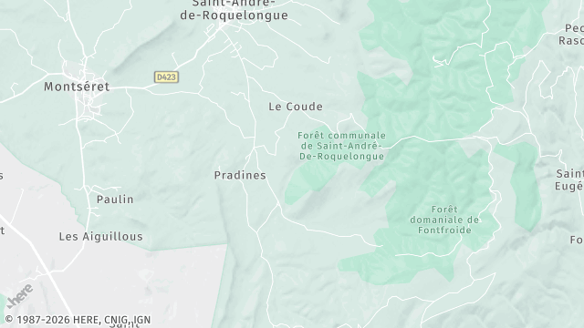 Carte de la zone d'intervention à Saint-André-de-Roquelongue