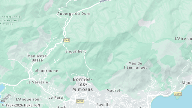 Carte de la zone d'intervention à Bormes-les-Mimosas