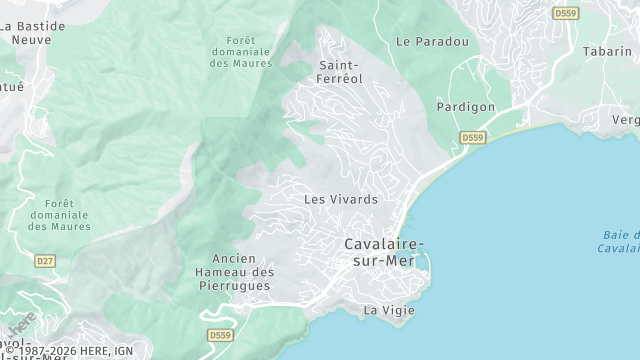 Carte de la zone d'intervention à Cavalaire-sur-Mer