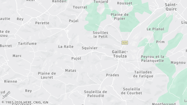 Carte de la zone d'intervention à Gaillac-Toulza