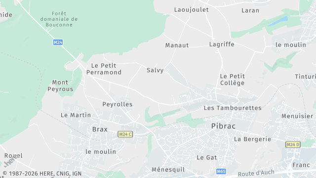 Carte de la zone d'intervention à Pibrac