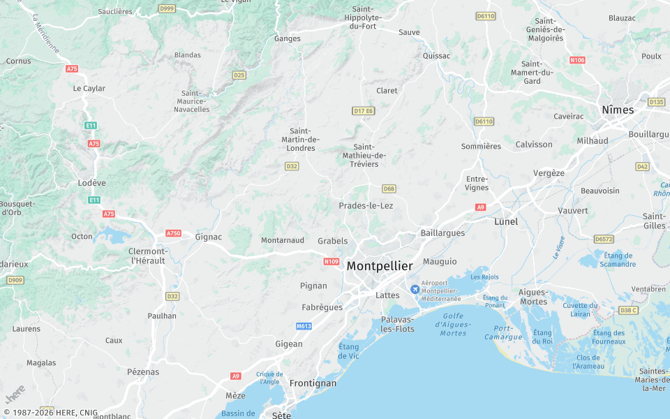 Carte statique de la localisation Altiviz