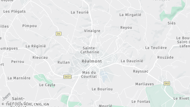 Carte de la zone d'intervention à Réalmont