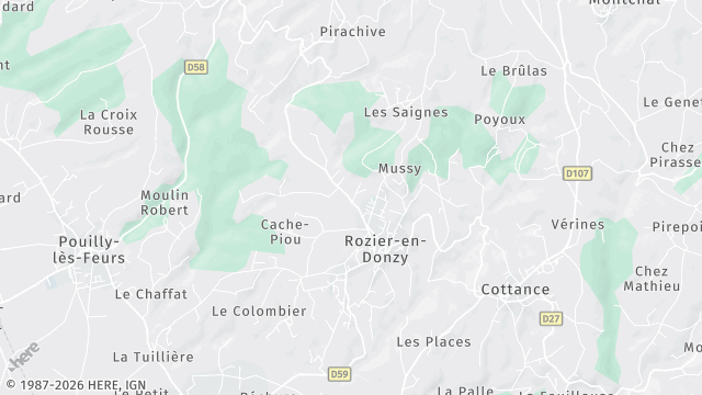 Carte de la zone d'intervention à Rozier-en-Donzy