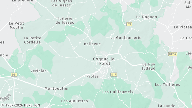 Carte de la zone d'intervention à Cognac-la-Forêt