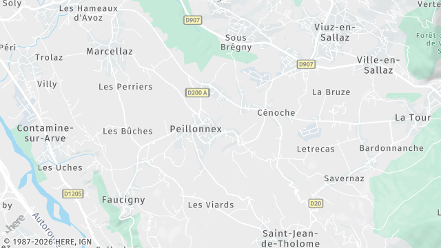 Carte de la zone d'intervention à Peillonnex