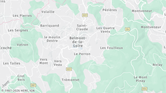Carte de la zone d'intervention à Belmont-de-la-Loire
