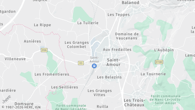 Carte de la zone d'intervention à Saint-Amour