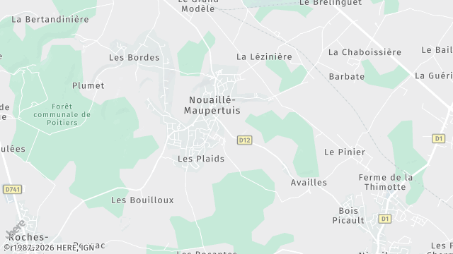 Carte de la zone d'intervention à Nouaillé-Maupertuis