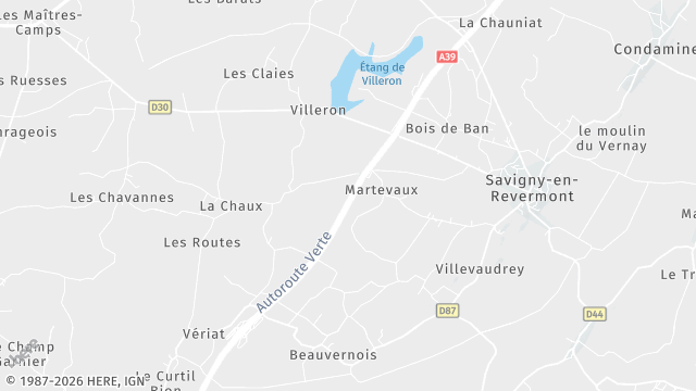 Carte de la zone d'intervention à Savigny-en-Revermont