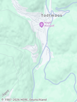 Here Map of Todtmoos
