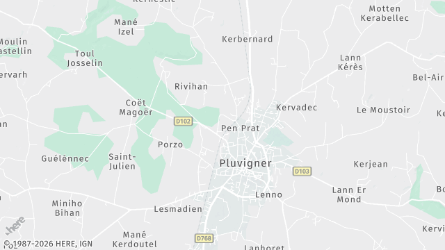 Carte de la zone d'intervention à Pluvigner