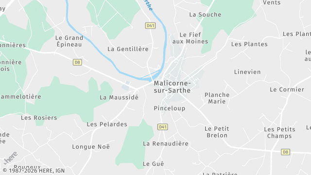 Carte de la zone d'intervention à Malicorne-sur-Sarthe