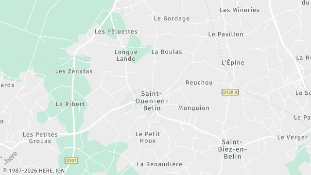 Carte de la zone d'intervention à Saint-Ouen-en-Belin