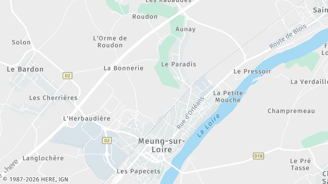 Carte de la zone d'intervention à Meung-sur-Loire