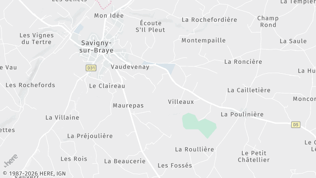Carte de la zone d'intervention à Savigny-sur-Braye