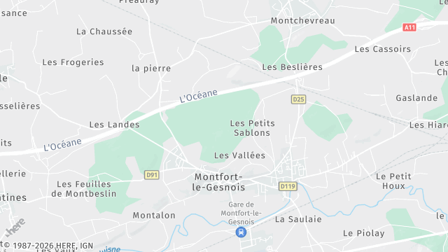 Carte de la zone d'intervention à Montfort-le-Gesnois