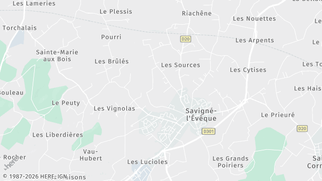 Carte de la zone d'intervention à Savigné-l'Évêque