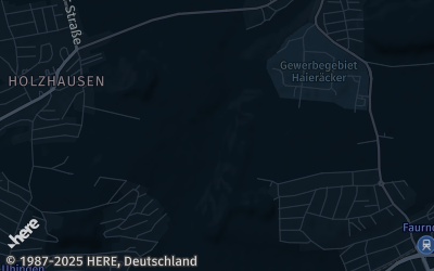 Heizung Map of Wangen