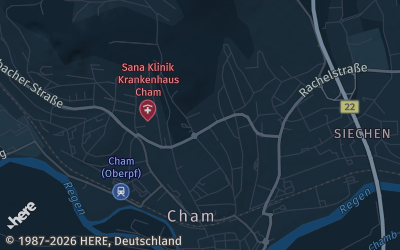 Heizung Map of Cham
