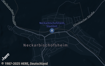 Heizung Map of Neckarbischofsheim