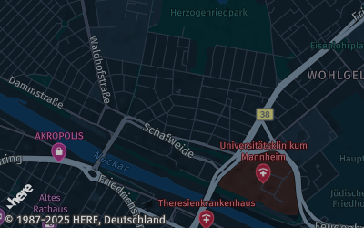 Heizung Map of Mannheim