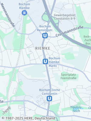 Here Map of Riemke