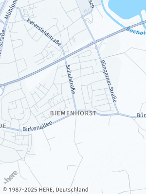 Here Map of Biemenhorst